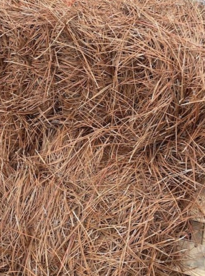 Long Leaf Pine Needles Delivered & Spread - Pine Needle Store