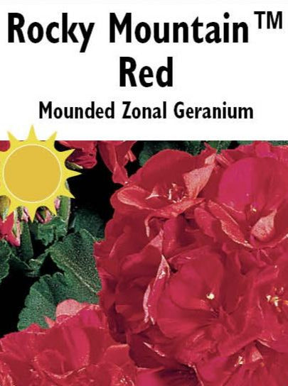 GERANIUM, ROCKY MOUNTAIN RED