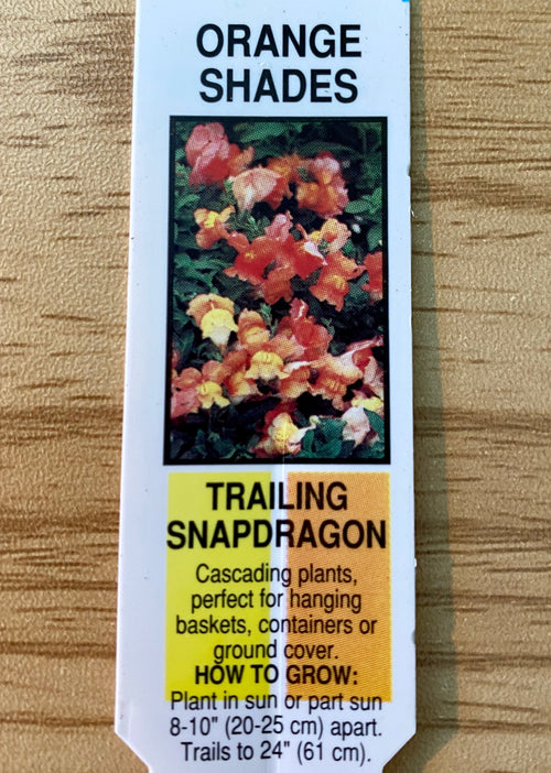 SNAPDRAGON, CANDY SHOWERS ORANGE