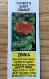 ZINNIA, BENARY'S GIANT ORANGE