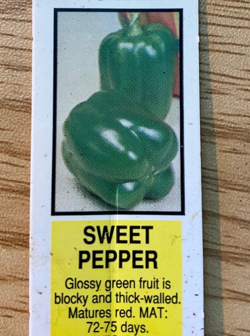 PEPPER, CALIFORNIA WONDER